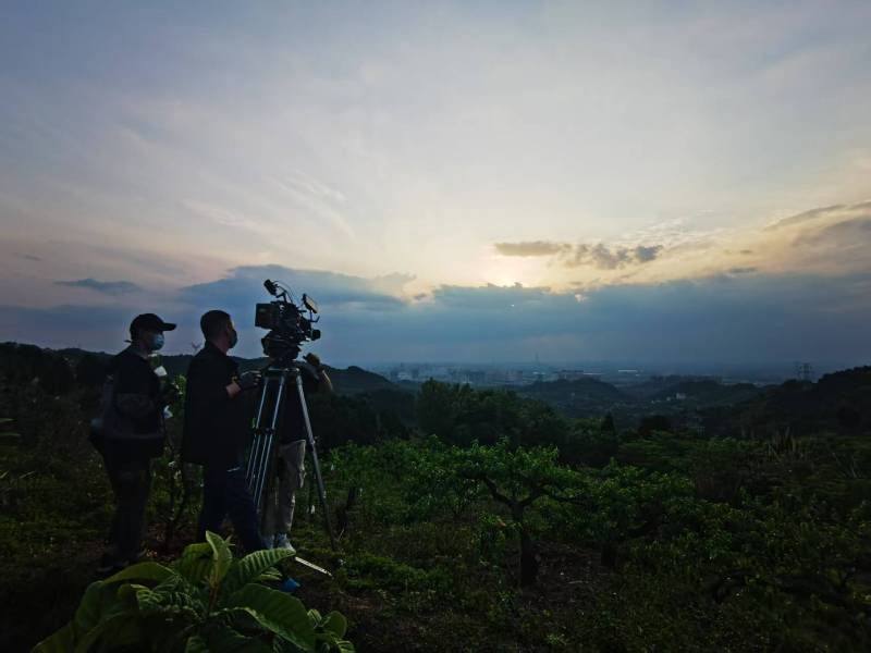 聚焦田林县产品宣传视频拍摄公司，用专业实力铸就品牌传播传奇