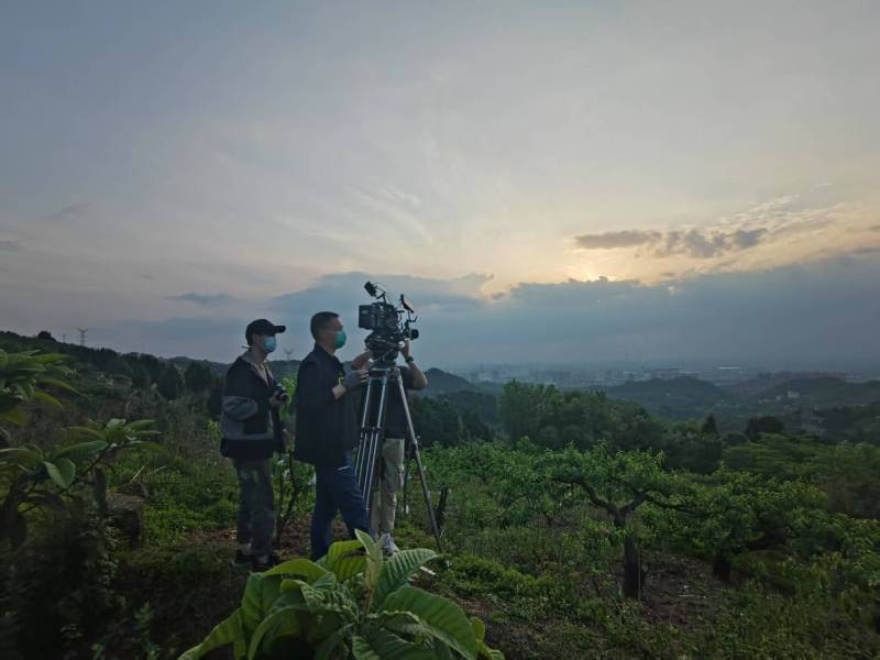 创意破圈！田林县电商产品宣传视频用故事化叙事引爆流量