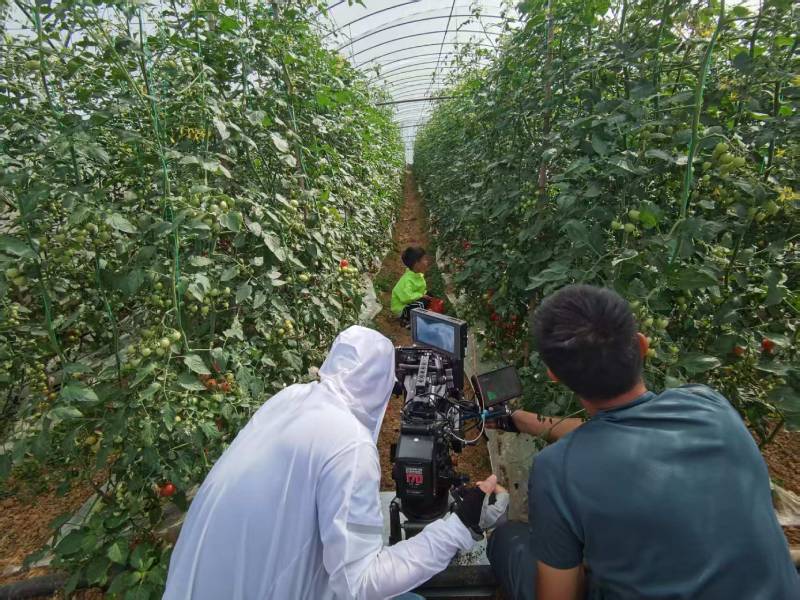 田林县产品宣传视频拍摄公司进阶指南，助力品牌抢占传播高地